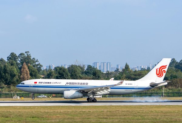 Quels sont les meilleurs spots pour observer les wallabies dans l'outback australien : périodes et équipements recommandés ?